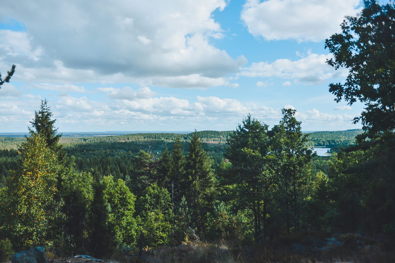 dalsland, tranquility, cloud - sky, non-urban scene, plant, buxåskulle, environment, no people, sun, beauty in nature, mountains, 4K, plains, hunneberg