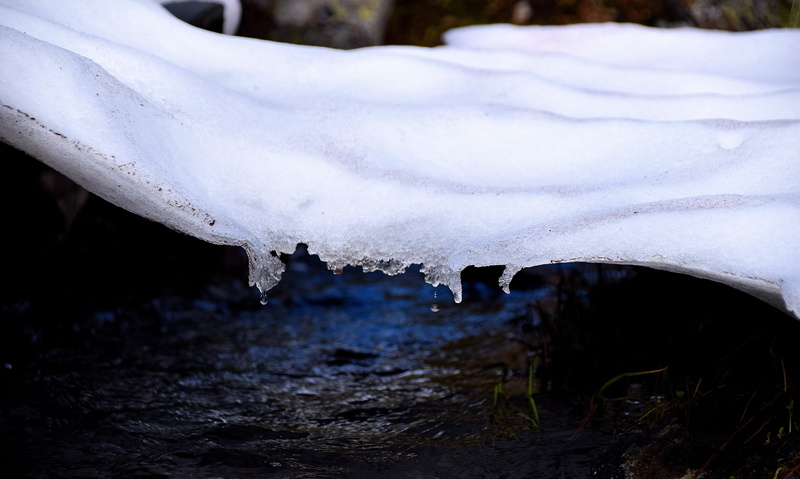 5K, lapland, day, white color, selective focus, adventure, road trip, fjell, cold temperature, no people, sweden, outdoors, dirt, summer, forest, melting