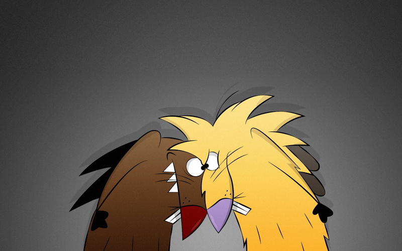 beavers, 1080P, angry