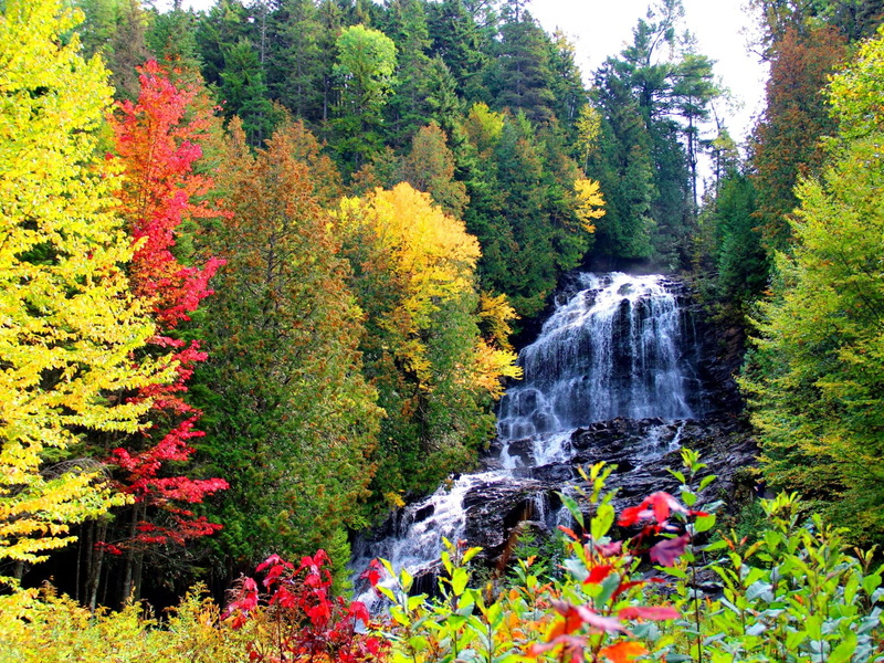 lovely, falling, brook, nice, fall, colorful, bushes, mountain, river, falls, beaver, beautiful, waterfall, trees, 1080P, water
