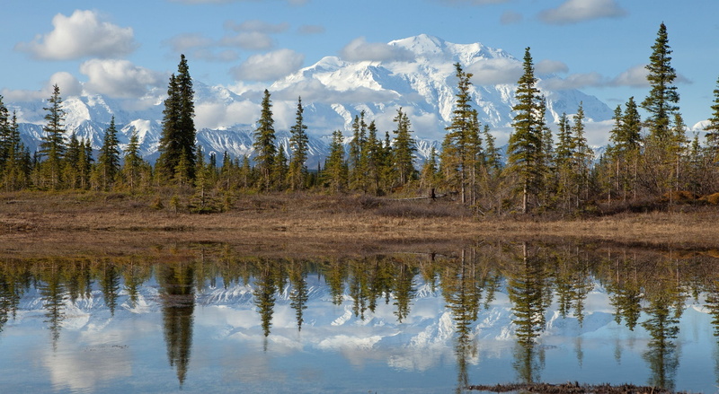 mckinley, national, body, park, day, plant, Alaska, sky, scenics - nature, no people, tranquil scene, mountain, outdoors, coniferous tree, Denali, land