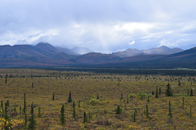 tranquil scene, mckinley, denali national park, wild, valley, mountain, mountain range, rural scene, field, 5K, tundra, non-urban scene, denali, winemaking