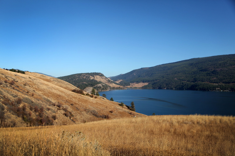 lake, mountain, trees, hills, no people, nature, kelowna, grassland, beauty in nature, sky, environment, canada, outdoors, tranquility, clear sky, tranquil scene