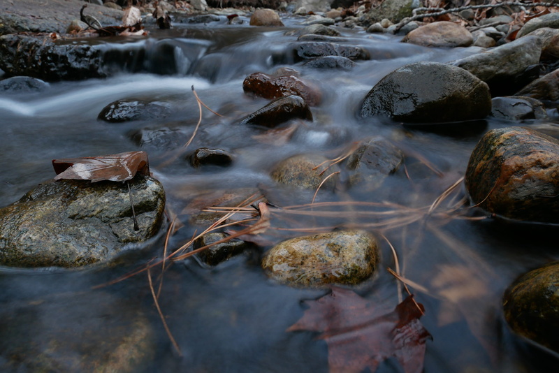 reflection, no people, tranquility, purity, outdoors, motion, solid, nature, flowing water, glisten, leaves, sea, flowing, water, fall, pollution, stream - flowing water