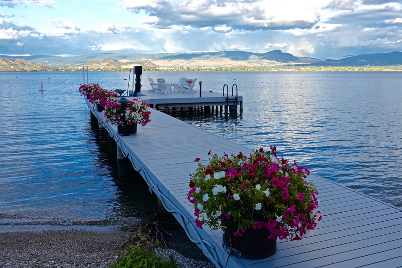 flower, canada, pier, mountain, white, lake okanagan, lake, plant, no people, 5K, adirondack, scenics - nature, flowering plant, transportation, wooden