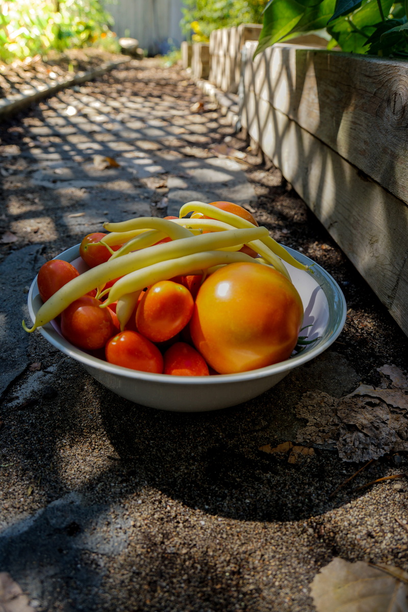 healthy eating, canada, shadow, okanagan falls, close-up, path, food and drink, wellbeing, large group of objects, food, light, pathway, vegetable, still life