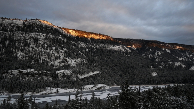 plant, scenics - nature, cold temperature, tranquility, okanagan, tree, dawn, environment, valley, tranquil scene, nature, beauty in nature, sky, land