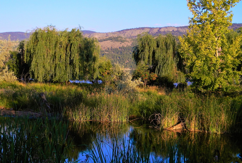 okanagan, extreme, reflection, outdoor, canada, backpacker, hiker, mountain, lifestyle, backpacking, blue, growth, leisure, vacation, nature, lake, active