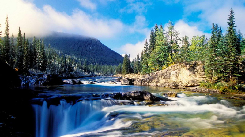 plant, beauty in nature, alberta, wilderness, tree, scenics - nature, nature, tranquil scene, outdoors, power in nature, no people, day, stream - flowing water