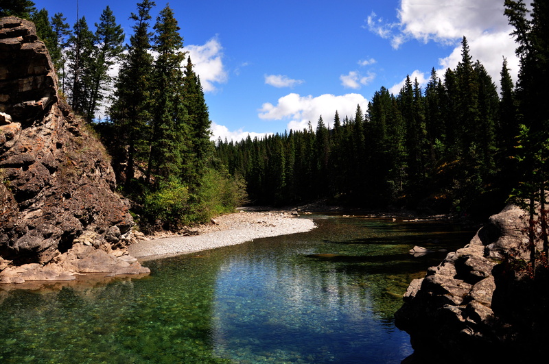 Canada, coniferous tree, summer, emerald green, outdoors, growth, clouds, rock - Object, blue, Canoe, tree, scenics, 4K, wilderness Area, reflection, sky