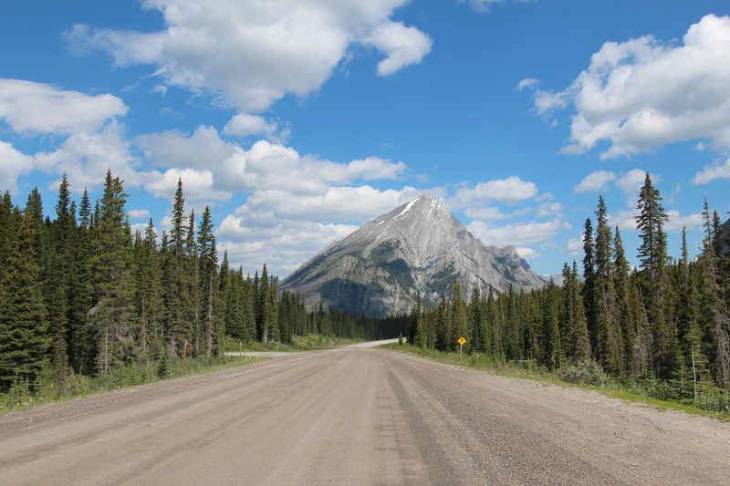 landscape, Kananaskis country, forest, Spray Lakes, spray, woods, nature, banff, Alberta, tree, daytime, banff National Park, scenics, 5K, Canada, road trip