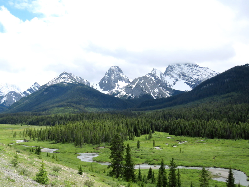 scenics - nature, plant, nature, Valley, cloud - sky, mountain peak, Canada, tranquility, day, cold temperature, kananaskis, tranquil scene, landscape