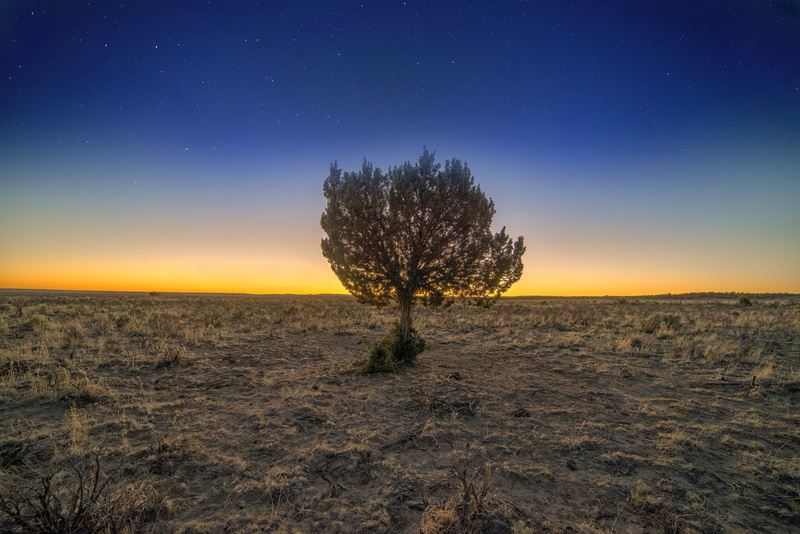 Da, middle, green, night, tree, field, Sonnets to Orpheus, green leaf, 5K, nature, f/2.8, leaf, sunset, ein, dusk, baum, landscape, Rilke, Rokinon, photo