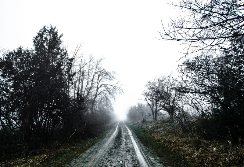 path, empty, rokinon, land, tranquility, no people, clear sky, canada, growth, milton, day, mud, transportation, track, non-urban scene, long, bare, sky