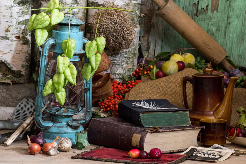 no people, lamp, vegetable, pot, plant, books, food and drink, near, teal, variation, large group of objects, wood - material, container, old photos, old books