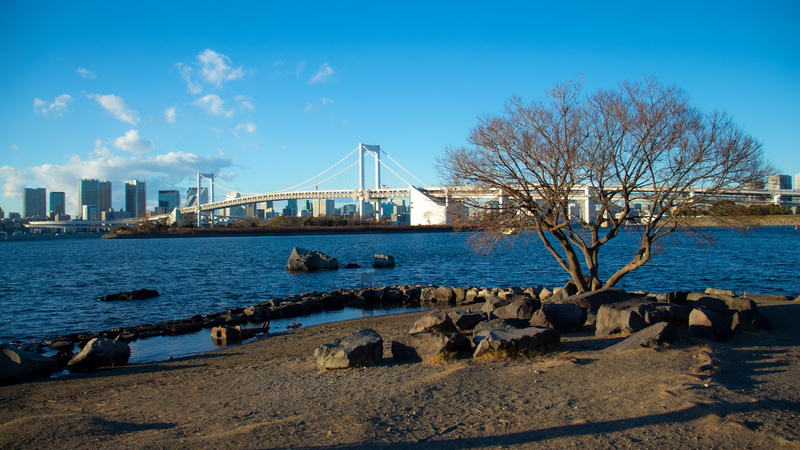 odaiba, trees, Rainbow Bridge, 4K, Tokyo, beach, rocks, Japan