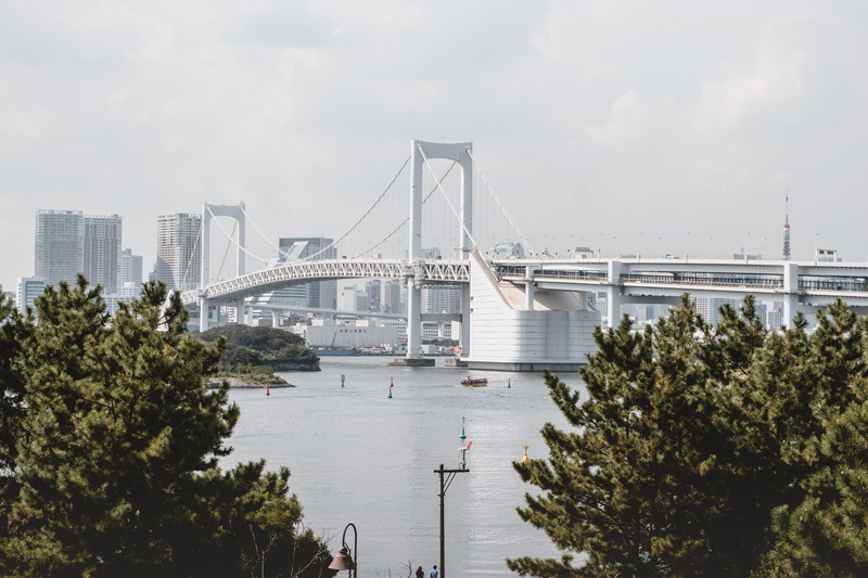 bay, tree, outdoors, connection, city, building exterior, sky, bridge - man made structure, japan, office building exterior, engineering, 5K, plant, odaiba