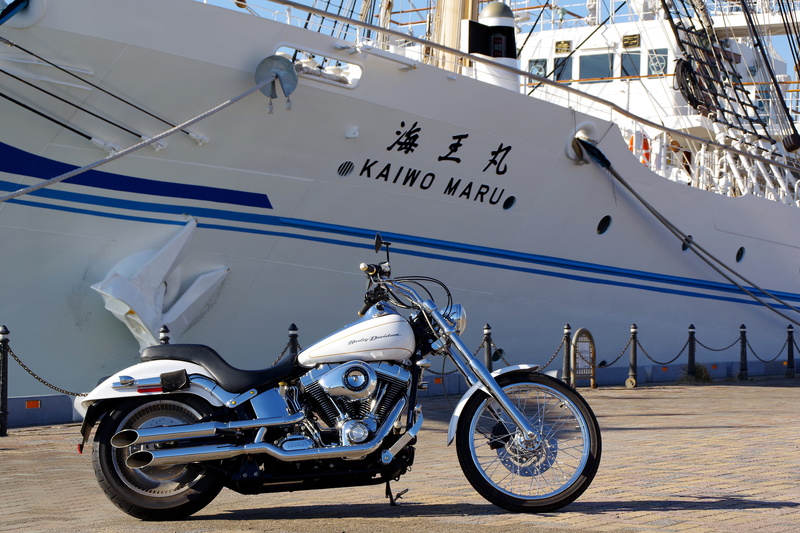 4K, Harley, Japan, land vehicle, nautical vessel, stationary, transportation, MotorCycle, travel, tokyo, text, outdoors, mode of transportation, day, nature