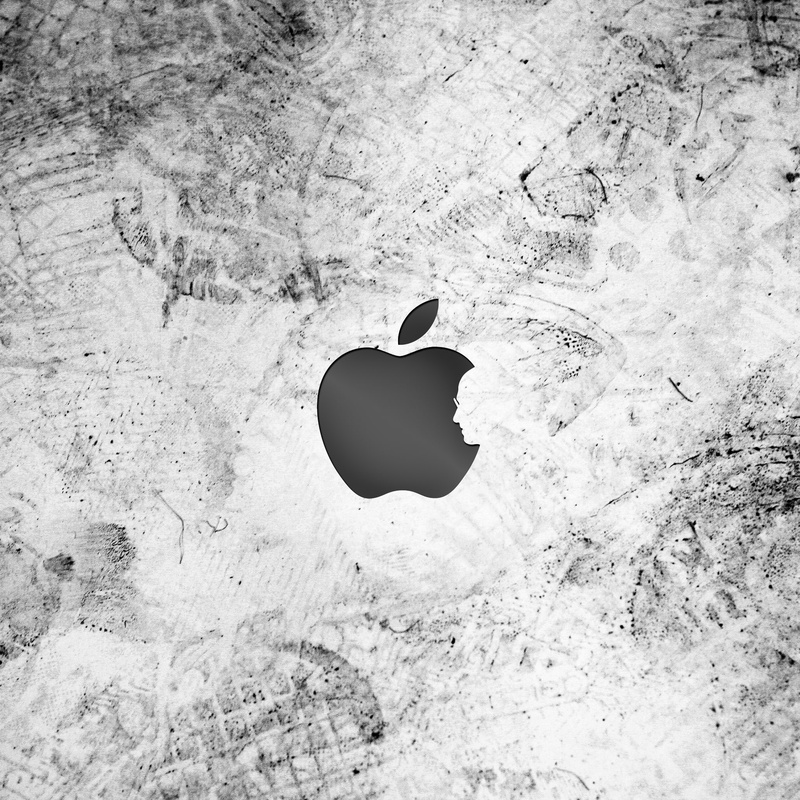 high angle view, sunlight, blackandwhite, land, 1080P, thank, shadow, stevejobs, solid, people, nature, historicalfigures, water, arid climate, one person