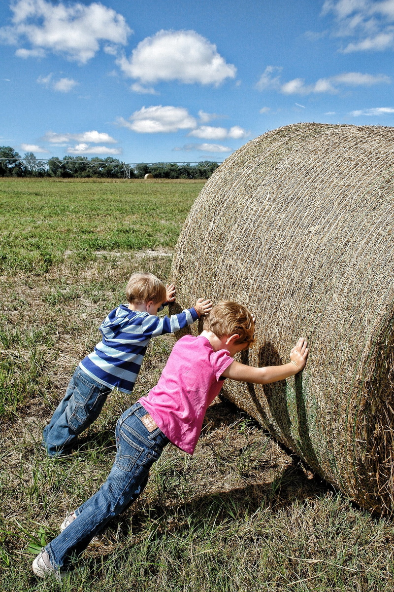 togetherness, girls, farmer, casual clothing, females, scenery, rural, plant, child, day, men, cloud - sky, leisure activity, worker, summer, countryside