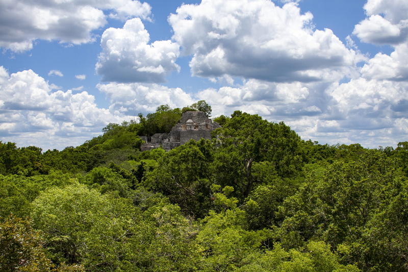 beauty in nature, travel destinations, history, outdoors, archaeology, scenics - nature, tranquility, nature, green color, sky, mexico, forest, plant, clouds
