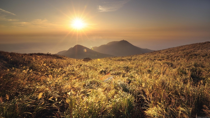 photo, mountain, sunset, wheat field, field, ove, 2K, grass, 3d and abstract, wheat, green