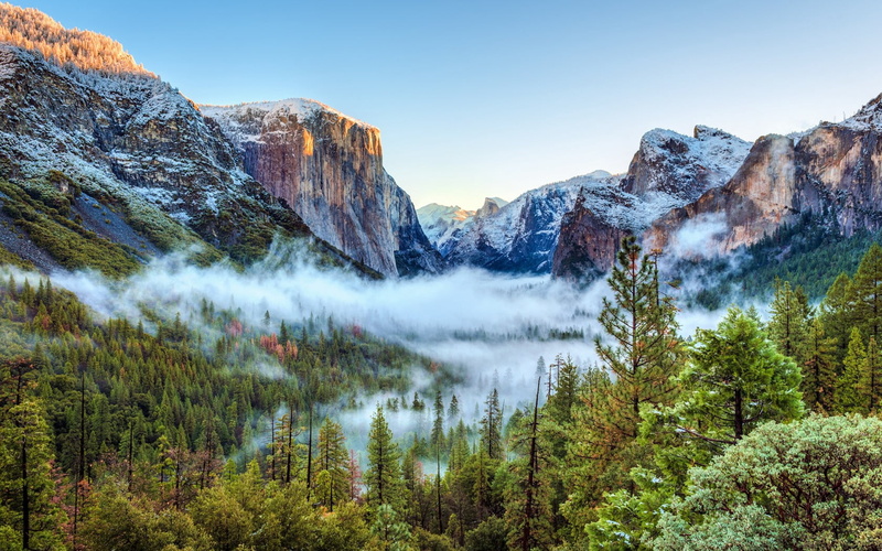 pine, trees, yosemite national park, coated, environment, snow, idyllic, green, woodland, sky, nature, mountain, usa, water, lake, landscape, vacations