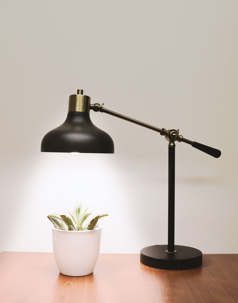 table, simplicity, plant, studio shot, nature, wellbeing, metal, plant part, 2K, colored background, wood - material, leaf, classic, food, brass, interior design