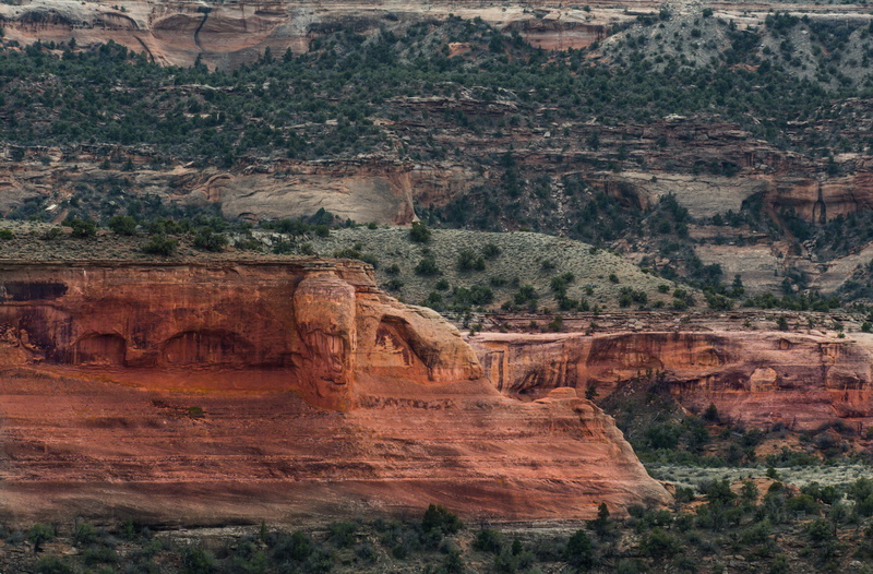 majestic, beauty In Nature, sandstone, geology, extreme Terrain, travel Destinations, cliff, arid climate, day, grand Canyon National Park, tree, no People