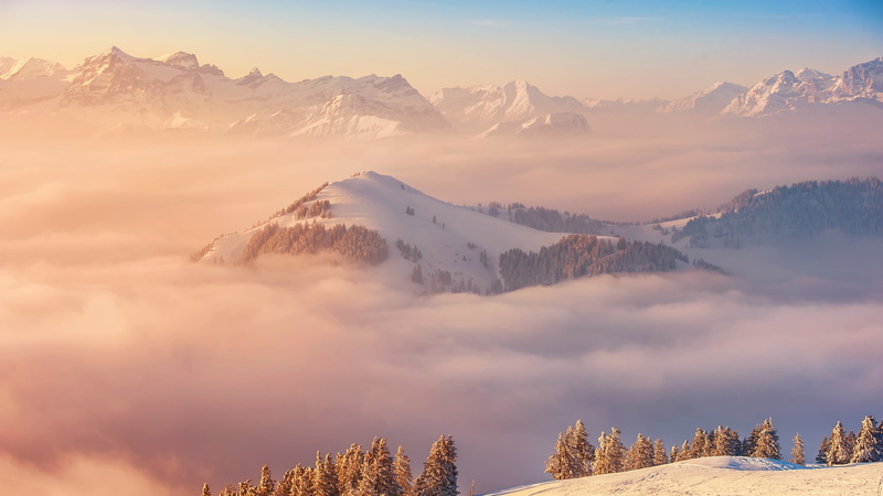 mountain range, mist, cloud - sky, mountain, snow, no people, tree, pine tree, mountain peak, idyllic, winter, Trap Nation, nature, scenics - nature, demon