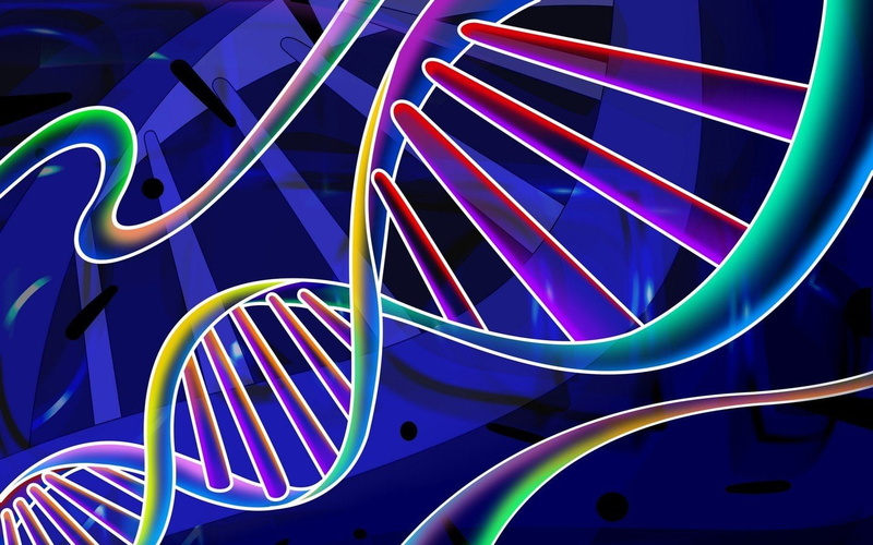 x, 1440x900 px, art, Neon, Abstract, 720P, entertainment, movies, dna, hd, px