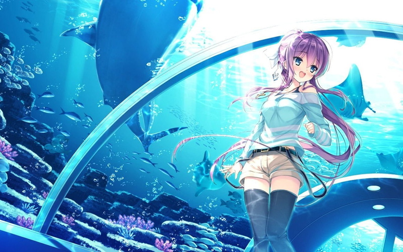 anime, art, long, Anime Girls, x, people, px, 720P, 1440x900 px, girls, hair, hd