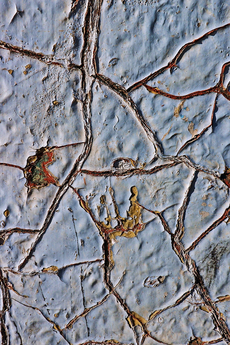 plant, texture, textured, tranquility, 2K, beauty in nature, tar, ice, sand, dry, tree, scenery, soil, day, hole, tree trunk, ground, close-up, aluminium