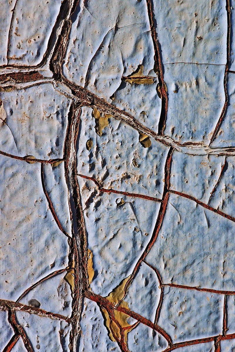 tree, invertebrate, dry, plant, brown, snow, beauty in nature, nature, close-up, limestone, soil, backgrounds, ground, winter, mud, pattern, insect, day