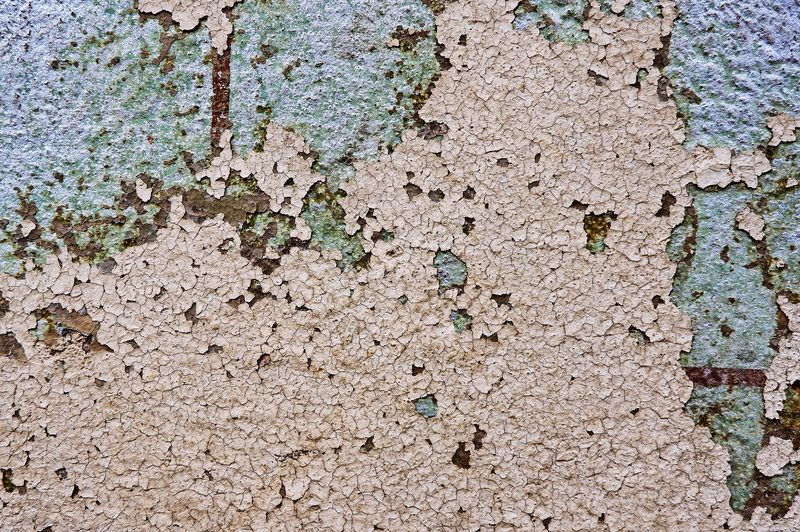 built structure, dirt road, peeled, invertebrate, tar, ground, soil, cricket insect, concrete, rock, weathered, nature, deterioration, damaged, mud, scenery
