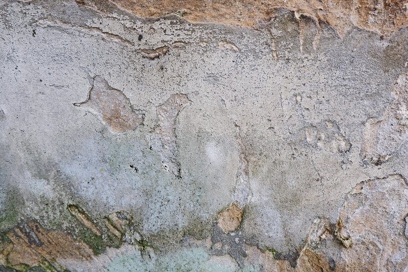 path, insect, archaeology, wall, day, plant, animal, architecture, rock, pattern, backgrounds, rock - object, limestone, 2K, stone wall, no people, built structure