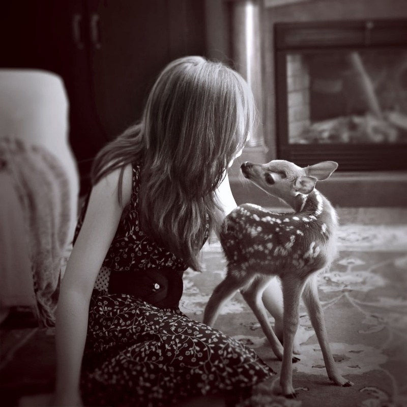 deer, little girl, indoors, 480P, children, sitting, baby animals, monochrome, animals