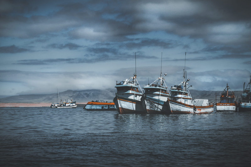 tugboat, ship, passenger craft, peru, nautical vessel, islas ballestas, boats, fishing industry, vessel, fishing boat, transportation, cruise ship, dusk