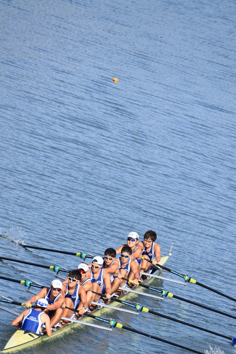 rowing, high angle view, adult, port, sport, sports, athlete, competition, boat, togetherness, effort, site, young men, group of people, medium group of people