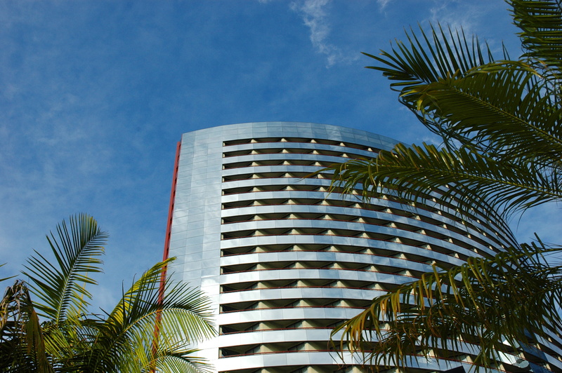 palm tree, sky, professional, futuristic, city, plant, palm, work, glass, headquarters, window, exterior, building exterior, modern, firm, technology, skyscraper