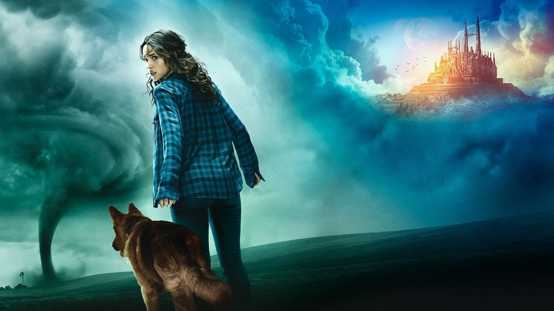 domestic animals, cat, 1080P, dark, fear, domestic, mystery, one person, digital composite, canine, dog, pets, nature, sky, small, emerald city, adult