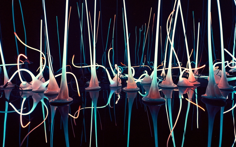 side by side, chihuly, illuminated, seattlecenter, fashion, group of people, stage - performance space, stage, white, garden, stick, Washington