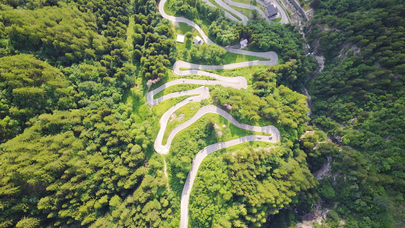 land, campodolcino, tree, park, beauty in nature, jungle, grass, non-urban scene, green, high angle view, forest, above, nature, vegetation, view, urban