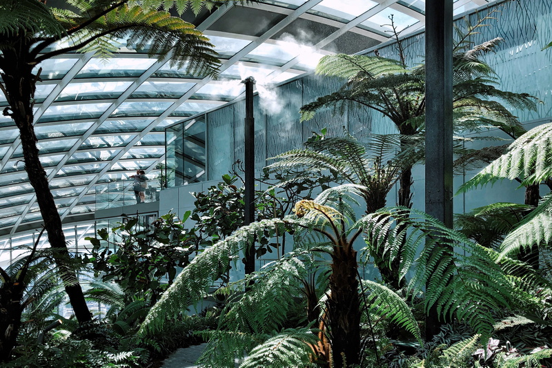 london, no people, plants, greens, ceiling, plant nursery, architecture, public garden, leaf, nature, sunlight, agriculture, urban jungle, 20 fenchurch street