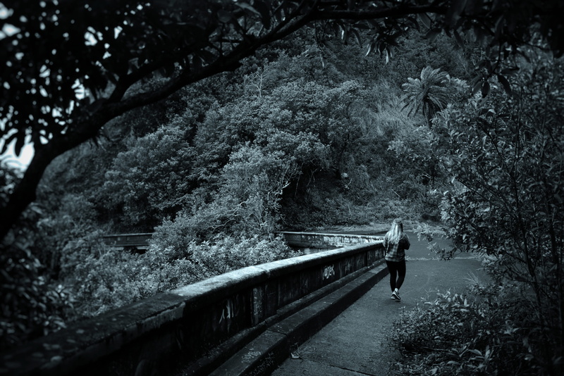 bridge, the way forward, honolulu, forest, pali highway, urban, connection, growth, woman, nature, railing, 5K, united states, jungle, tree, day, hawaii