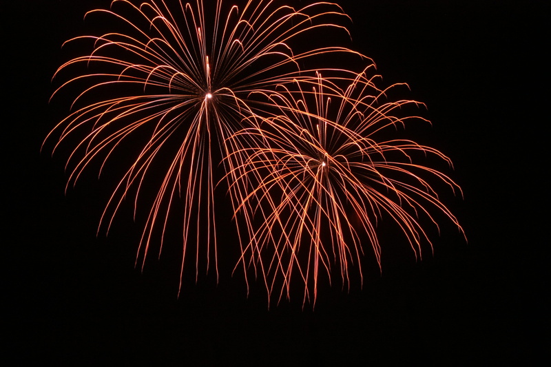 plant, firework, exploding, entertainment event, land, firework - man made object, aerial view, celebration, building, scenery, fireworks, firework display