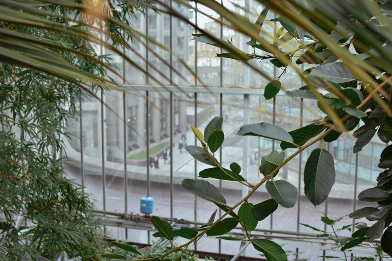 glass - material, reflection, indoors, architecture, ceiling, built structure, nature, beauty in nature, window, plant nursery, urban, day, tree, growth