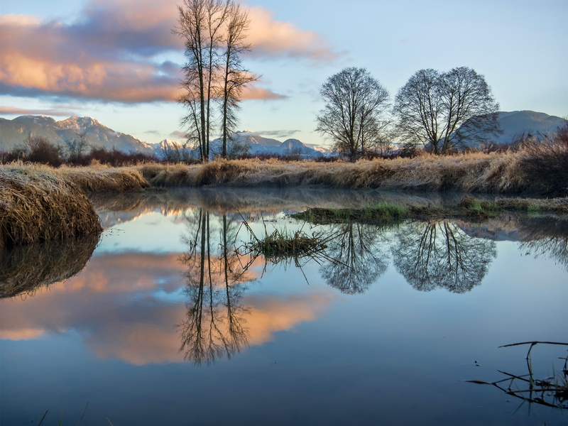 Columbia, British, Lake, Grass, 2K, Canada, Trees, Mountains