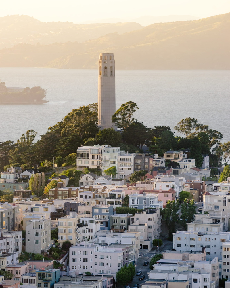 cityscape, built structure, skyscraper, san francisco bay, day, view, building, plant, high angle view, sea, architecture, city, california, tree, hill