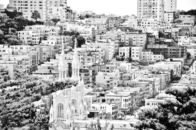 high angle view, plant, city life, no people, city, street, 4K, lombard street, trees, architecture, day, black and white, buildings, streets, tree, townscape